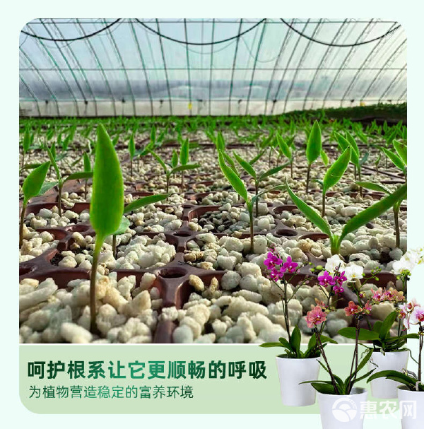 营养土有机保肥透气养花种菜多肉绿萝兰花育苗肥料植物通用培育土