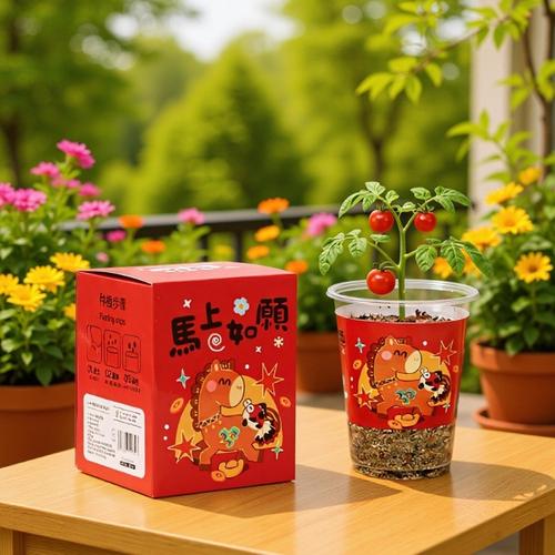 创意植物盲盒小盆栽幼儿园礼物室内种植花卉种子学生桌面绿植盆栽